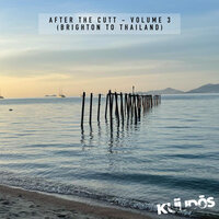 Mr Ung - After The Cutt