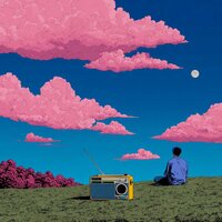Vinyl Solstice - The 1974 Lofi