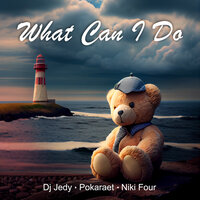 What Can I Do - DJ JEDY & Pokaraet & Niki Four