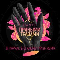 Пряными травами - Dante