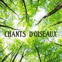 Cantate BWV 147 - Musique Douce Ensemble Master