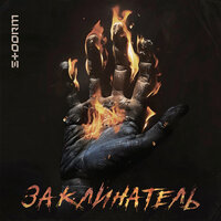 Заклинатель - STOORM