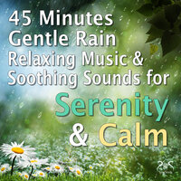In Serenity and Calm with the Rain & Spherical Music, Pt. 2 - Max Relaxation & SyncSouls & Torsten Abrolat