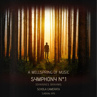 Adagio - Più Andante - Allegro Non Troppo, Ma Con Brio - Più Allegro - Symphony No. 1 - Classical Hits & Schola Camerata