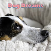 In a Relaxed State of Mind - Sleepy Dogs & Dog Calming Music & Dog Relaxation