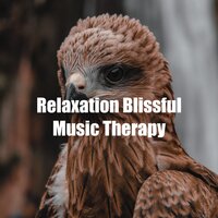 Sleeping Nature Song - Nature Bird Sounds