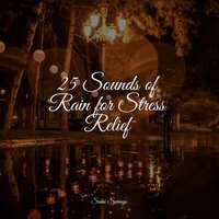 Raindrop Shower - Tailormade Ocean Waves & Dr. Meditation & Academia de Música para Massagem Relaxamento