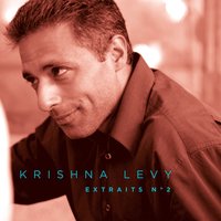 Le système de Ponzi II - Krishna Levy