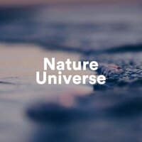 Rainforest Tropical River for Inner Peace - Meditation Tribe & Water Sounds Music Universe & Meditation Tribe & Water Sounds Music Universe