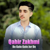 Wa Tata Swal Za Da Yare Kawama - Qahir Zakhmi