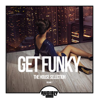 The Funk - Hannes Bruniic