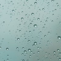 Wet Weather Day - Rain Sounds & Sounds of Nature Noise & The Nature Soundscapes