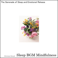From Stress Relief to the Sound of Peace - Sleep BGM Mindfulness