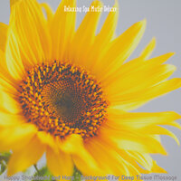 Spirited Steam Baths - Relaxing Spa Music Deluxe