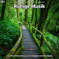 Hintergrundmusik für Ausgeglichenheit - Entspannungsmusik Olivia Lehen & Schlafmusik & Entspannungsmusik