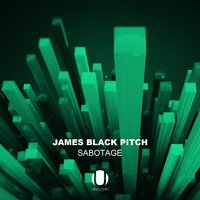 Dragonfly - James Black Pitch