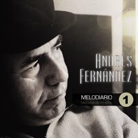Al Solcito - Andres Fernandez