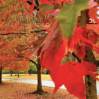 Autumnfelt Piano No. 10 (Last Sunset) - James Michael Stevens