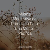 Armonía Sin Fin - Canciones de Cuna Relax & Canção de Ninar Bebê & Música para Dormir Con Relajantes Sonidos de la Naturaleza