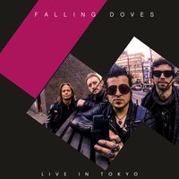 Paris - Falling Doves