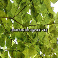 Дар природы мира - Nature Sounds Nature Music