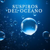Rumor de la Marea - Sonido de las olas del mar & Música para navegantes