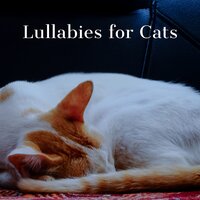 Calm My Kitten - Jazz Music for Cats