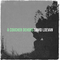 entre singe et humain - DAVID LOEVAN