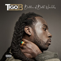 Bag - Tigo B