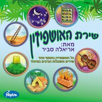משה - Ariela Savir