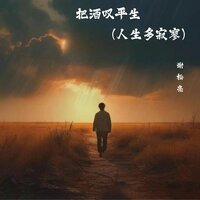 把酒叹平生（人生多寂寥） - 谢松亮