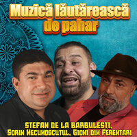CEA MAI ASCULTATA MUZICA TIGANEASCA - Stefan de la Barbulesti & Sorin Necunoscutul & Gioni Din Ferentari