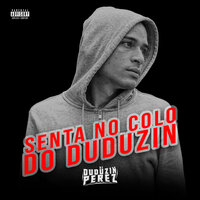 Senta no Colo do Duduzin - DJ Duduzin Perez & MC Brooklyn & Mc pedrin do Engenha