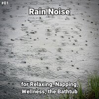 Rain Sounds to Chill Out - Rain Sounds & Nature Sounds & Rain Sounds by Elli Sabbatini
