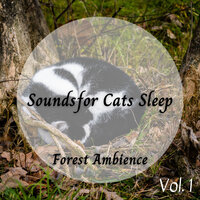 Cats In The Cradle Song - Calming for Dogs & Spa Music For Dogs & Sleep Music Legends
