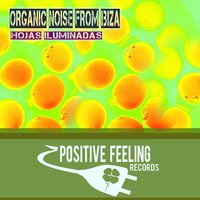 Heisenberg - Organic Noise from Ibiza