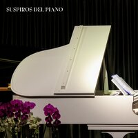 Música Suave de Piano - Relajante Música de Piano Oasis & Piano para Relajarse & Piano Relajación