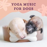 Even When We Sleep - Yoga Relax