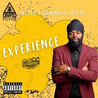 Experience - Bugle & Luminous Cryptic