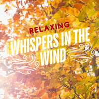 Butterfly Breaths - Relaxing