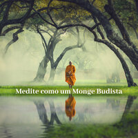 Curar o Corpo - Academia de Meditação Buddha