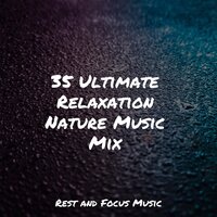 Vast and Deep - Academia de Meditação Buddha & Meditation & Stress Relief Therapy & Smart Baby Lullaby