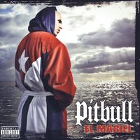 Jungle Fever - Pitbull & Wyclef Jean