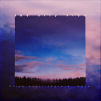 Rowan Trees - The City View