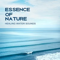Sacred Spirit (Violin Sounds) - Nature Music Sanctuary