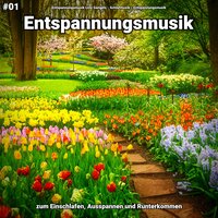Heilende Zeilen - Entspannungsmusik Lino Gangels & Schlafmusik & Entspannungsmusik
