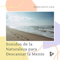 Relajante Ondas de la playa - Soñoliento Juan
