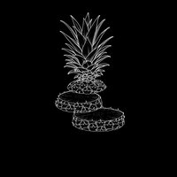 Shadow - Floydz