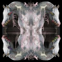 Metamorphlexible - Eartheater