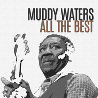 Lonesome Room Blues - Muddy Waters